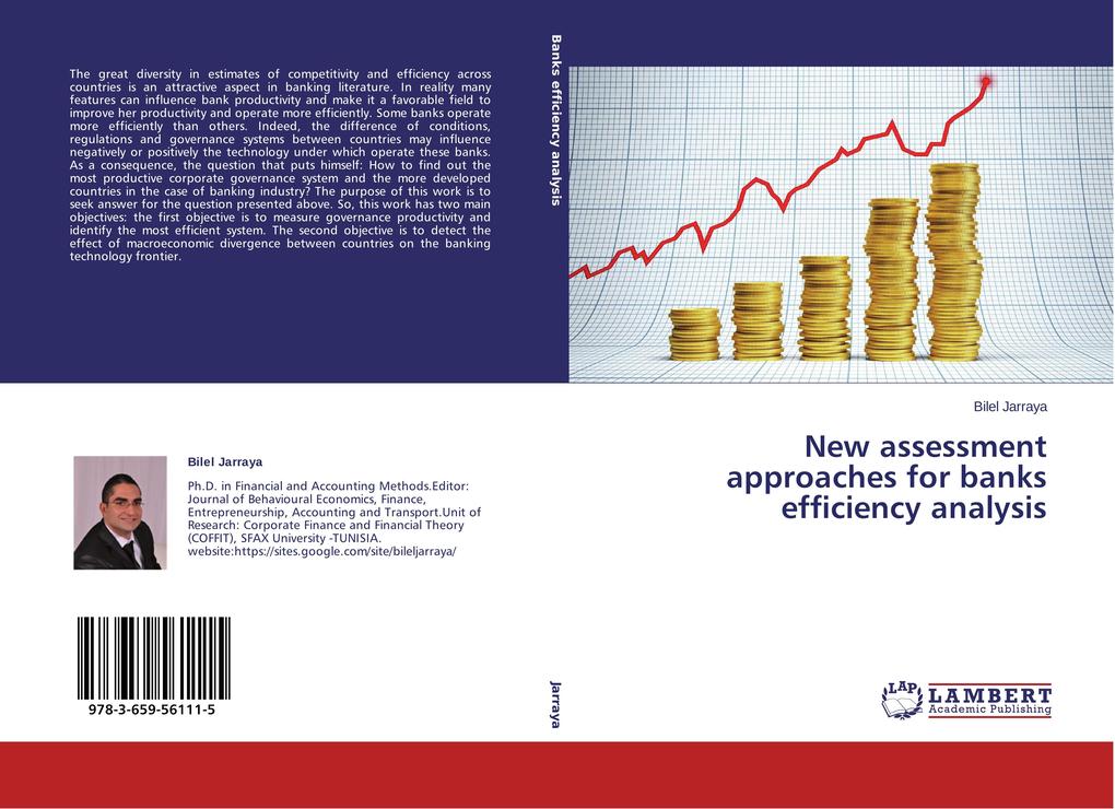 New assessment approaches for banks efficiency analysis
