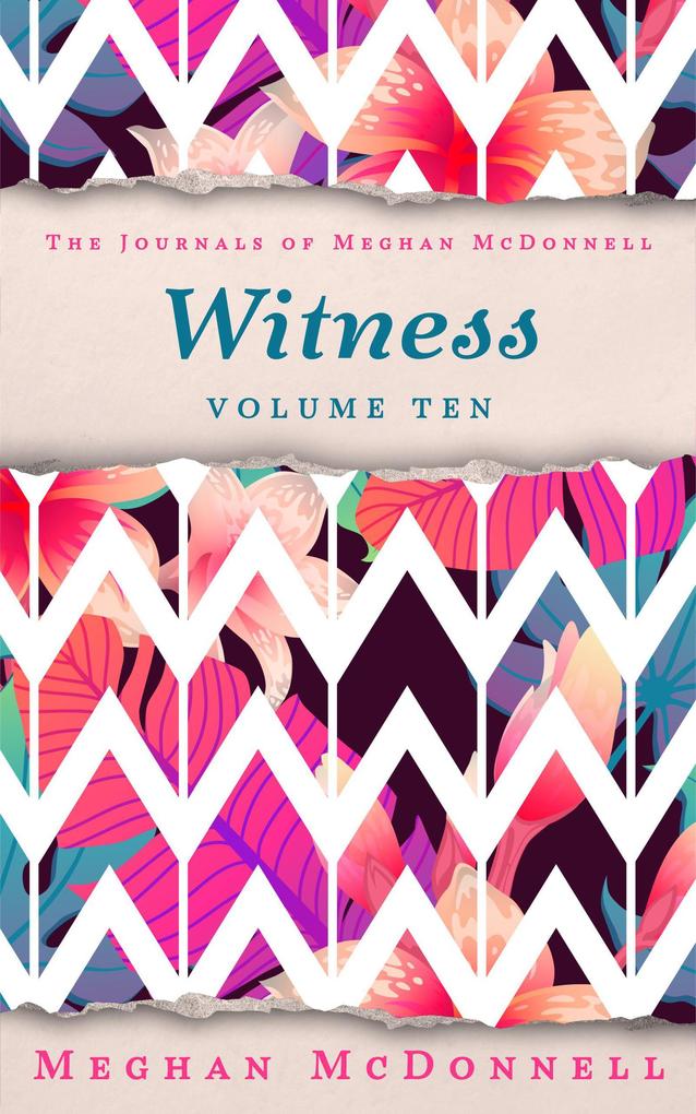 Witness: Volume Ten (The Journals of Meghan McDonnell #10)