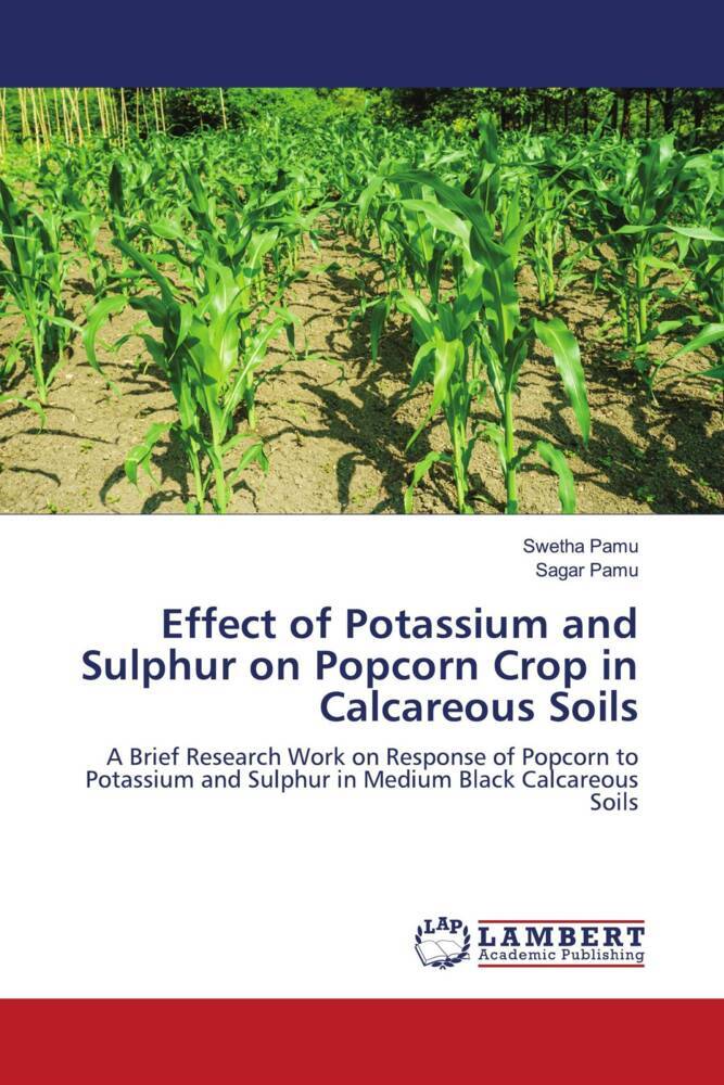 Effect of Potassium and Sulphur on Popcorn Crop in Calcareous Soils