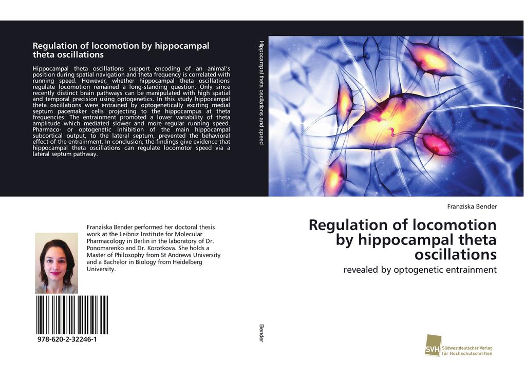 Regulation of locomotion by hippocampal theta oscillations