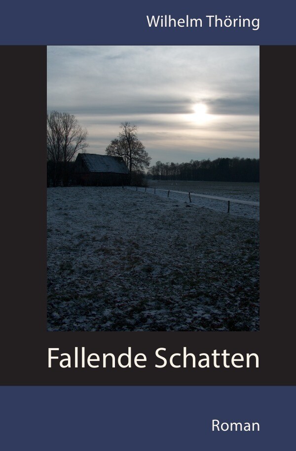 Image of Fallende Schatten Roman