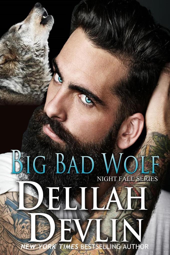 Big Bad Wolf (Night Fall Series #13)