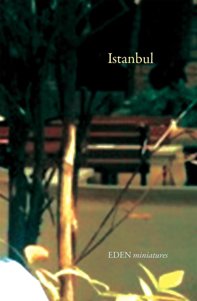 Istanbul (EDEN miniatures #7)