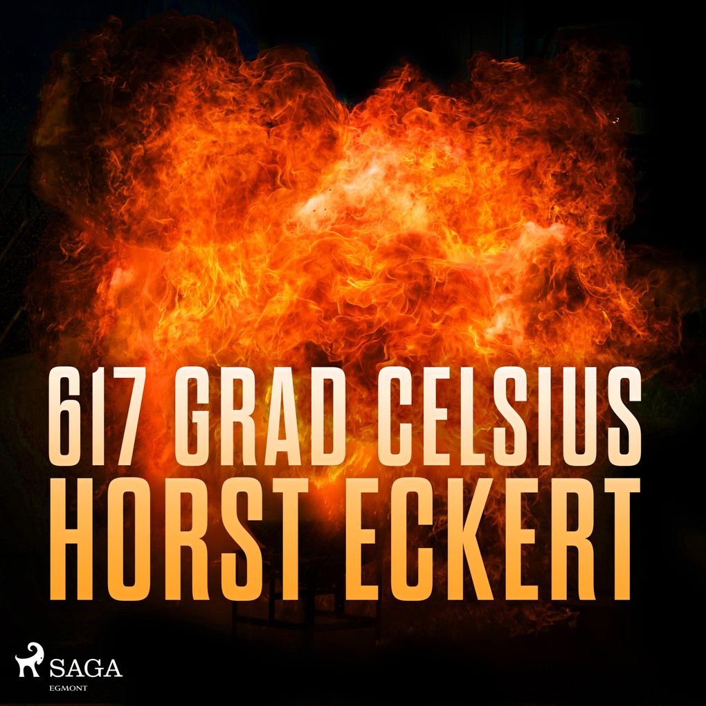 Image of 617 Grad Celsius (Ungekürzt)