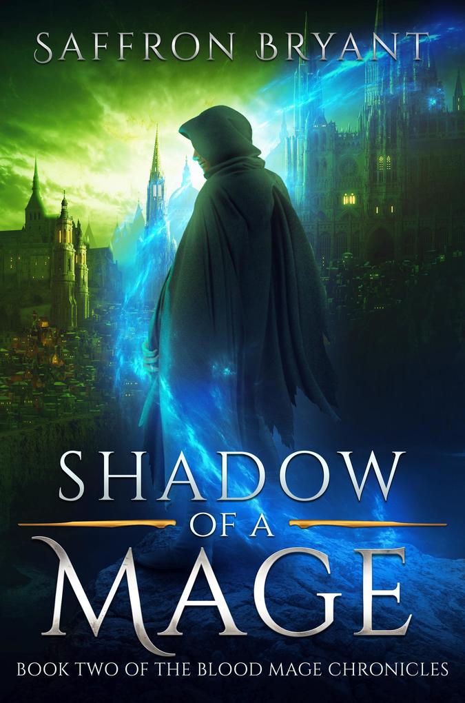 Shadow of a Mage (The Blood Mage Chronicles #2)