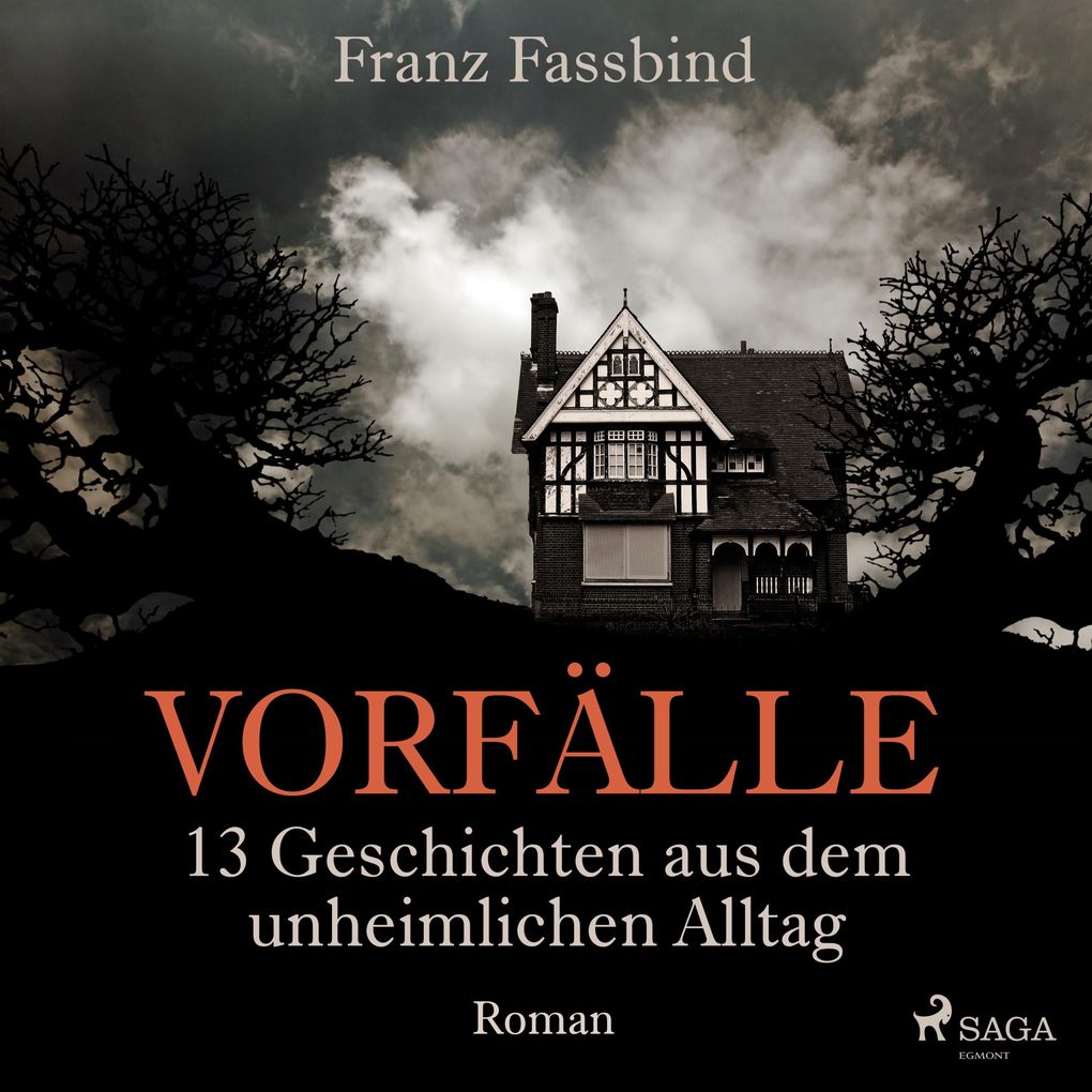 Vorfälle. 13 Geschichten aus dem unheimlichen Alltag (Ungekürzt)