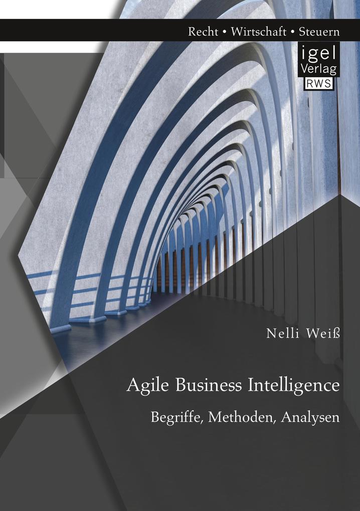 Agile Business Intelligence. Begriffe Methoden Analysen