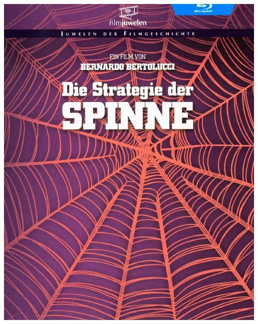 Die Strategie der Spinne