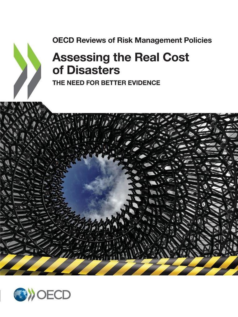 Assessing the Real Cost of Disasters