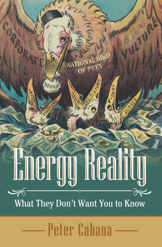 Energy Reality