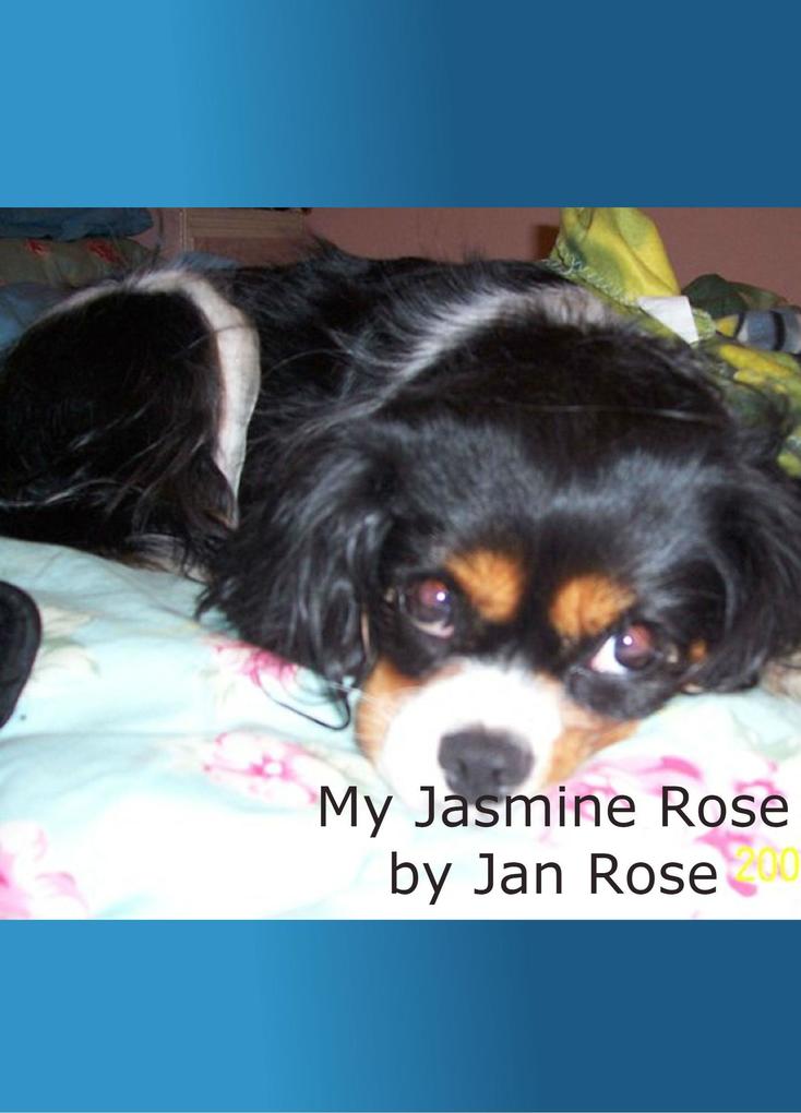 My Jasmine Rose