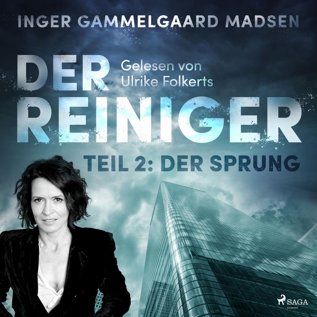 Der Reiniger Teil 2: Der Sprung (Ungekürzt)