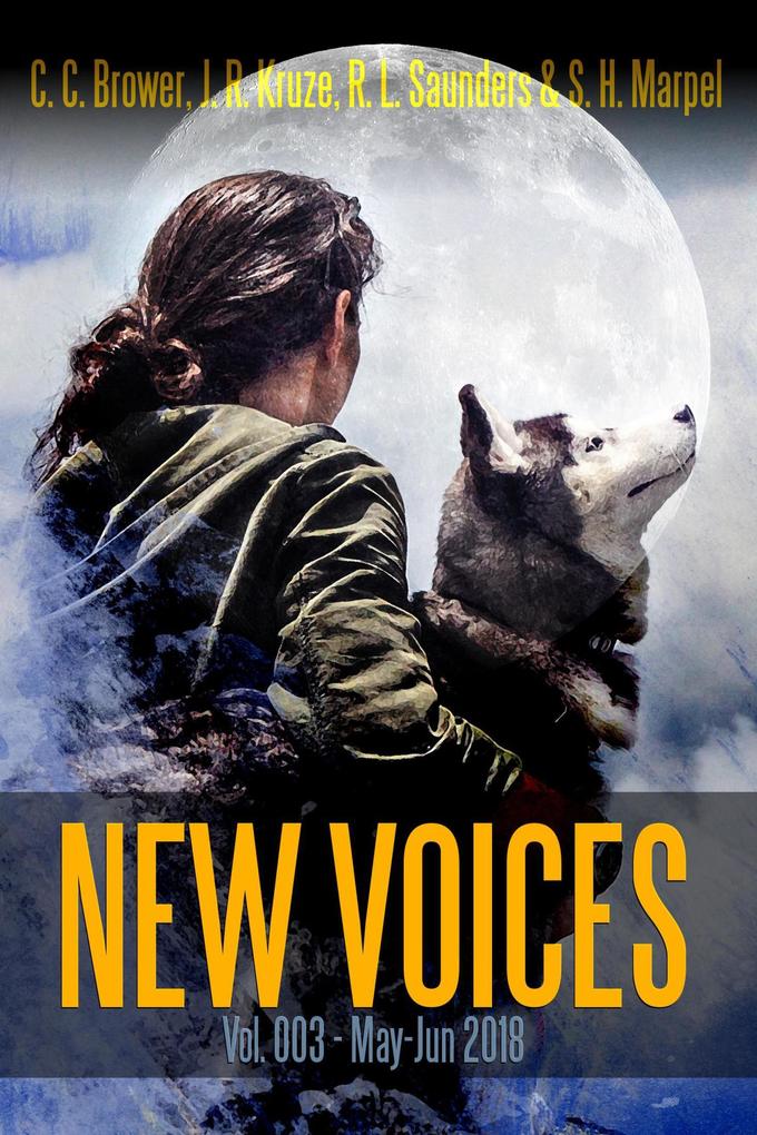 New Voices Vol 003 (Short Story Fiction Anthology)