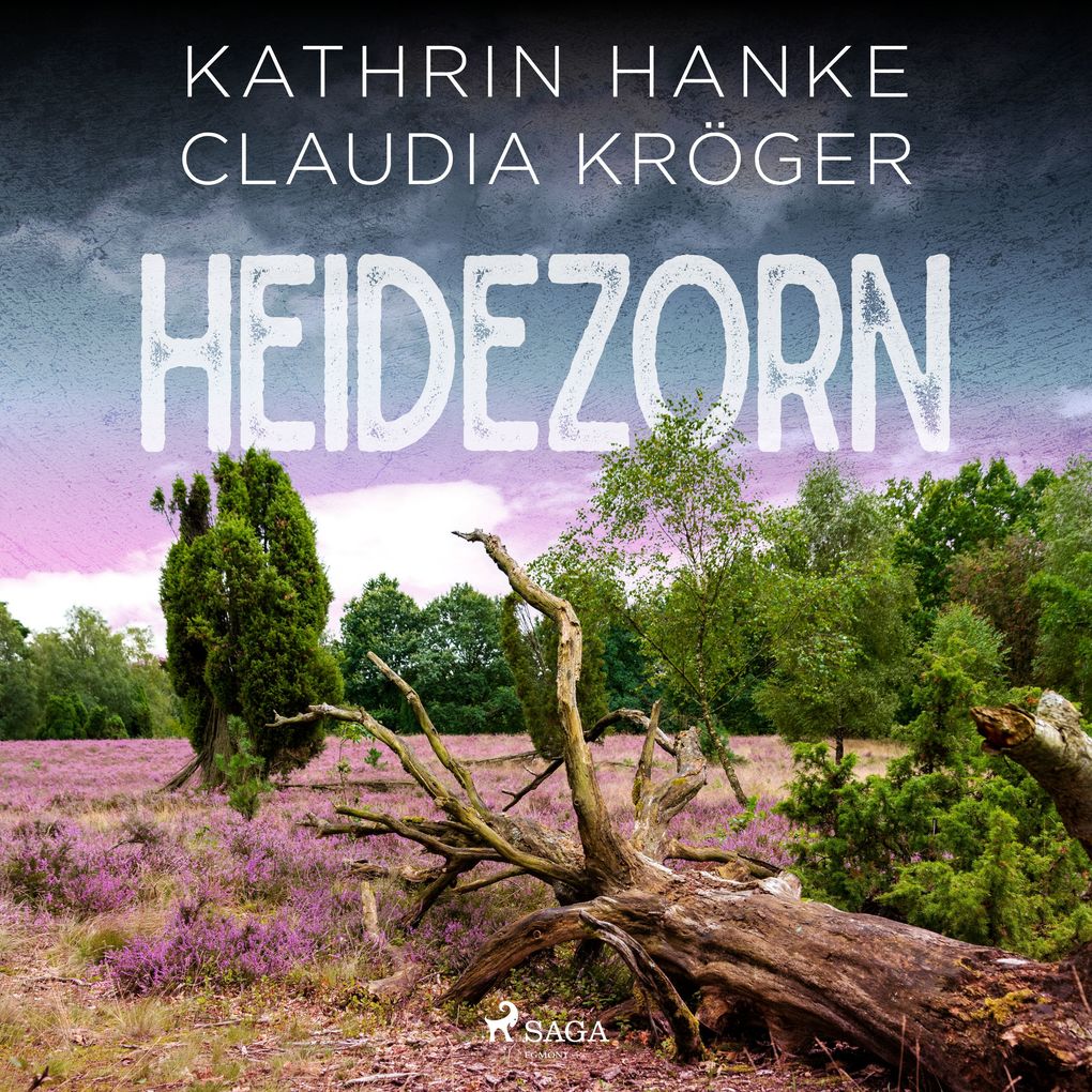 Heidezorn (Katharina von Hagemann Band 5)