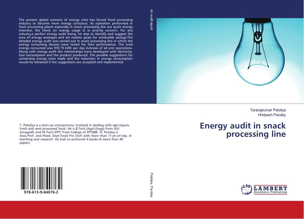 Energy audit in snack processing line