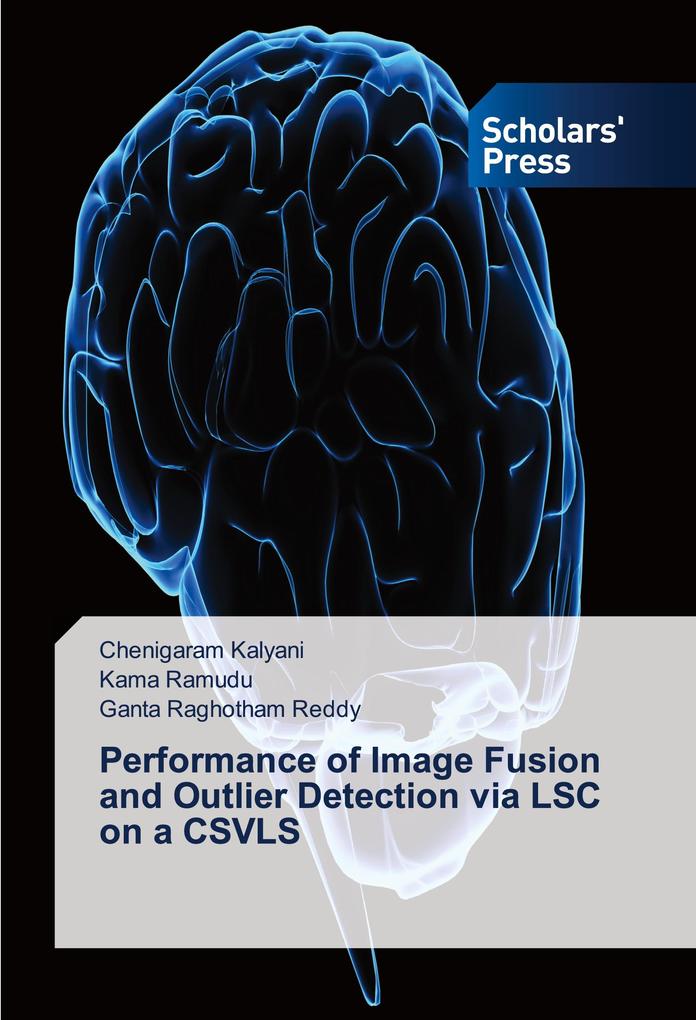 Performance of Image Fusion and Outlier Detection via LSC on a CSVLS