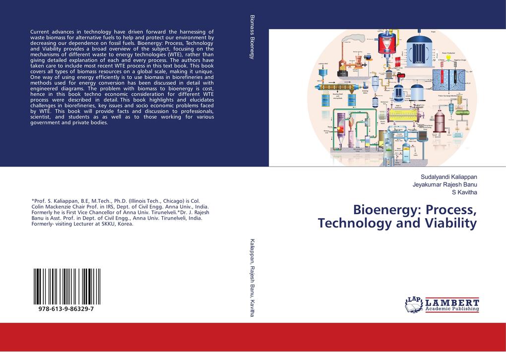Bioenergy: Process Technology and Viability