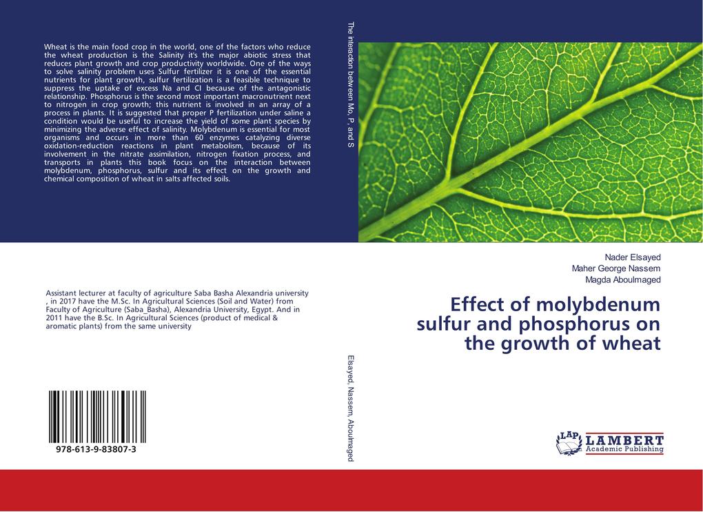 Effect of molybdenum sulfur and phosphorus on the growth of wheat