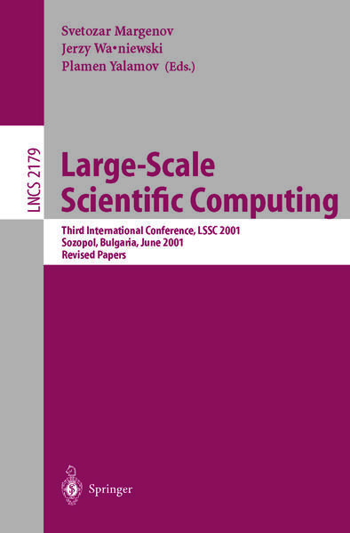 Large-Scale Scientific Computing