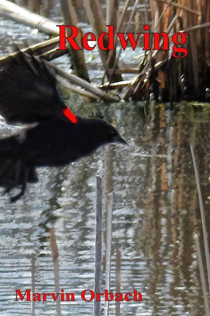 Redwing