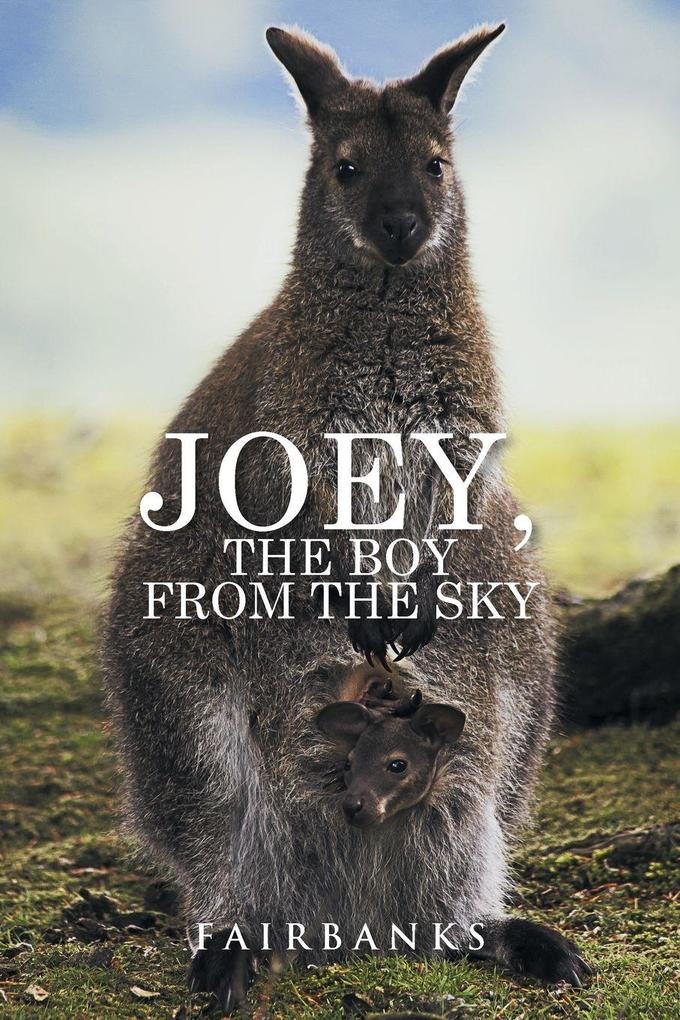 Joey the Boy from the Sky