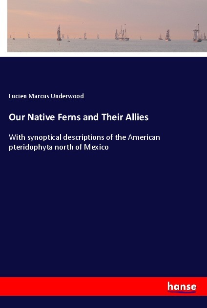 Our Native Ferns and Their Allies