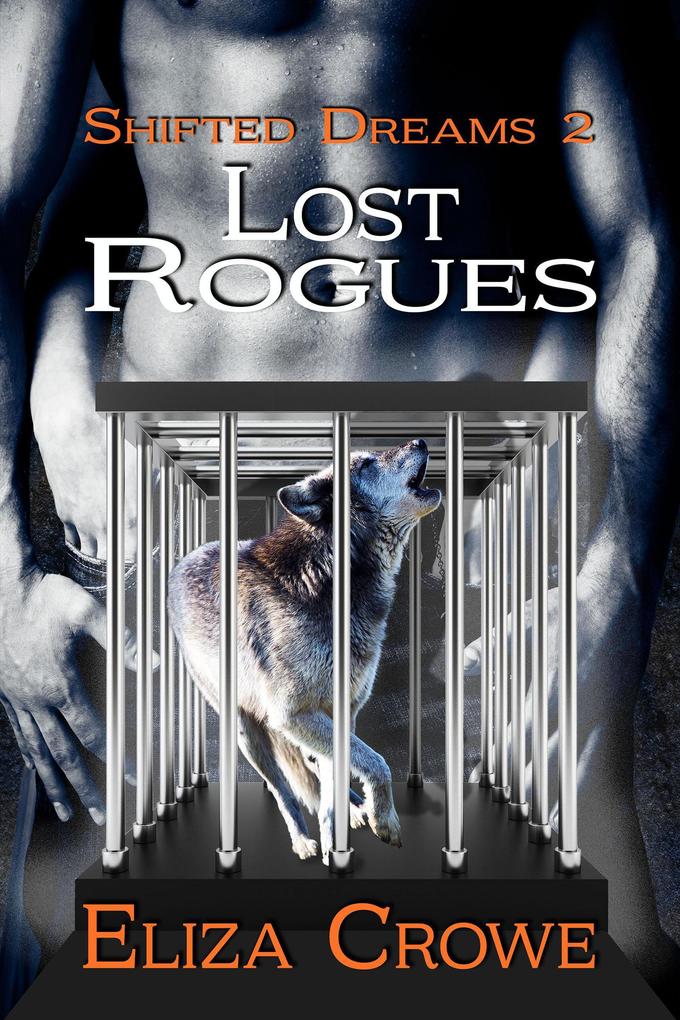 Lost Rogues (Shifted Dreams #2)