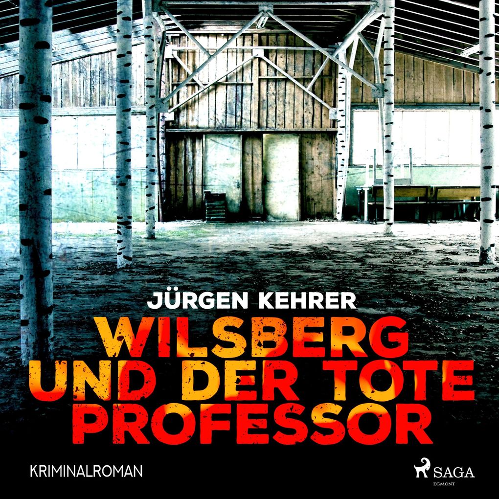 Wilsberg und der tote Professor - Kriminalroman (Ungekürzt) - Jürgen Kehrer
