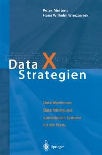 Data X Strategien