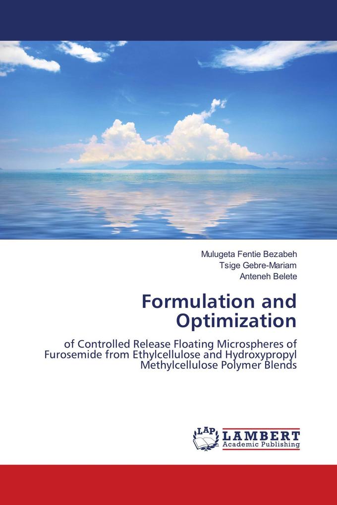 Formulation and Optimization