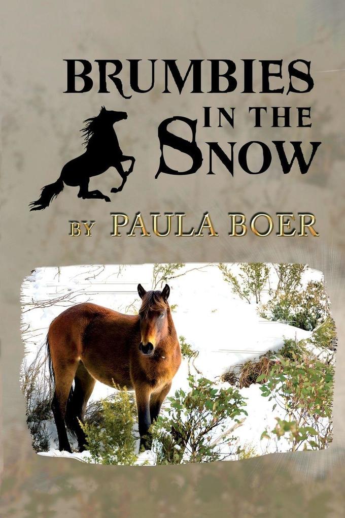 Brumbies in the Snow