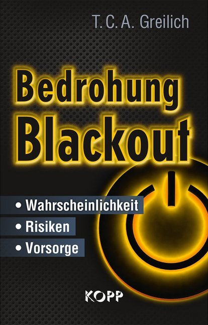 Bedrohung Blackout Wahrscheinlichkeit Risiken Vorsorge PDF Epub-Ebook
