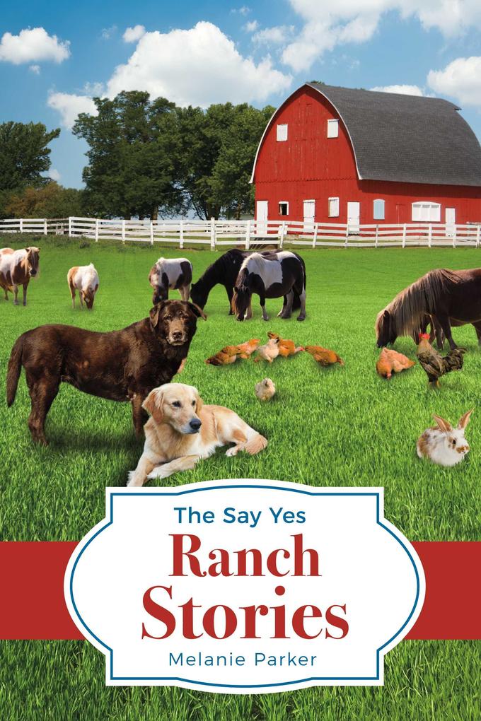 The Say Yes Ranch Stories