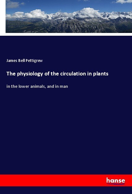 The physiology of the circulation in plants