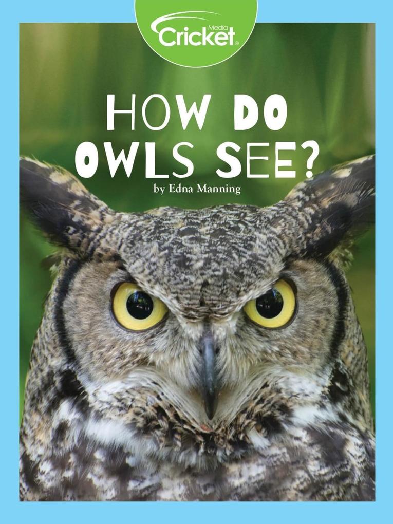 How Do Owls See?