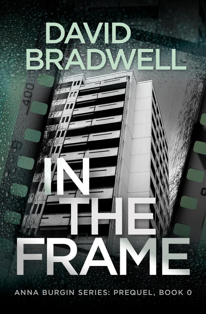 In The Frame: Series Prequel Mystery Novella (Anna Burgin #0)