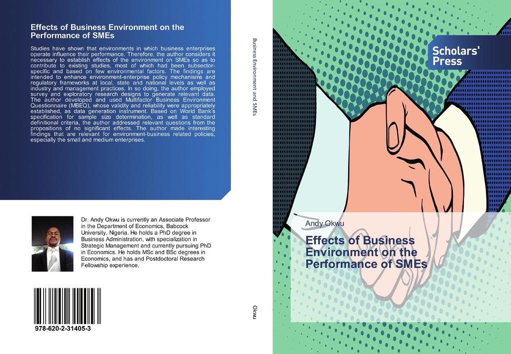 Effects of Business Environment on the Performance of SMEs