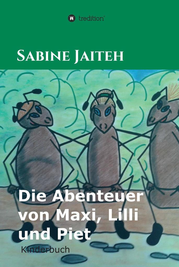 Die Abenteuer von Maxi Lilli und Piet