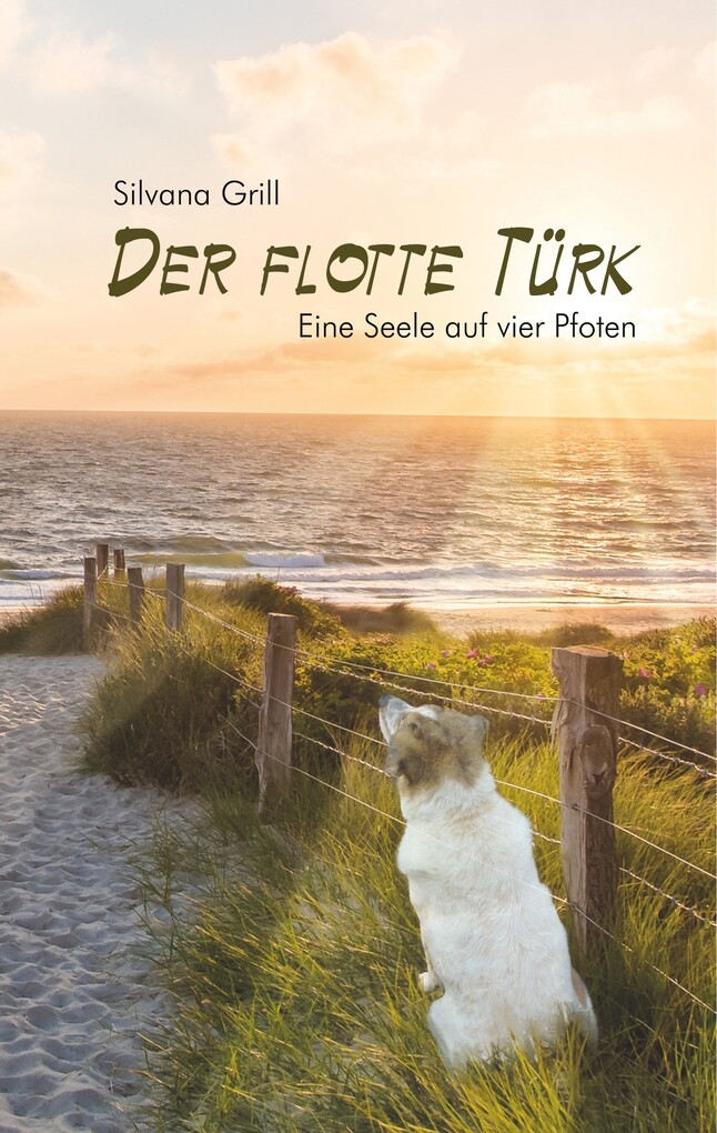 Image of Der flotte Türk