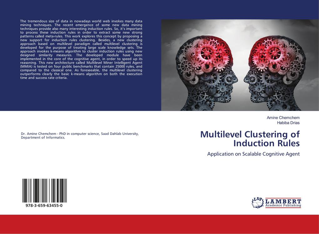 Multilevel Clustering of Induction Rules