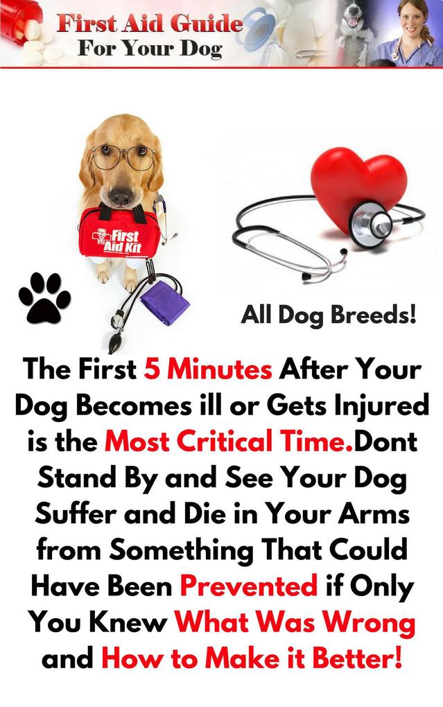 First Aid Guide for Your Dog