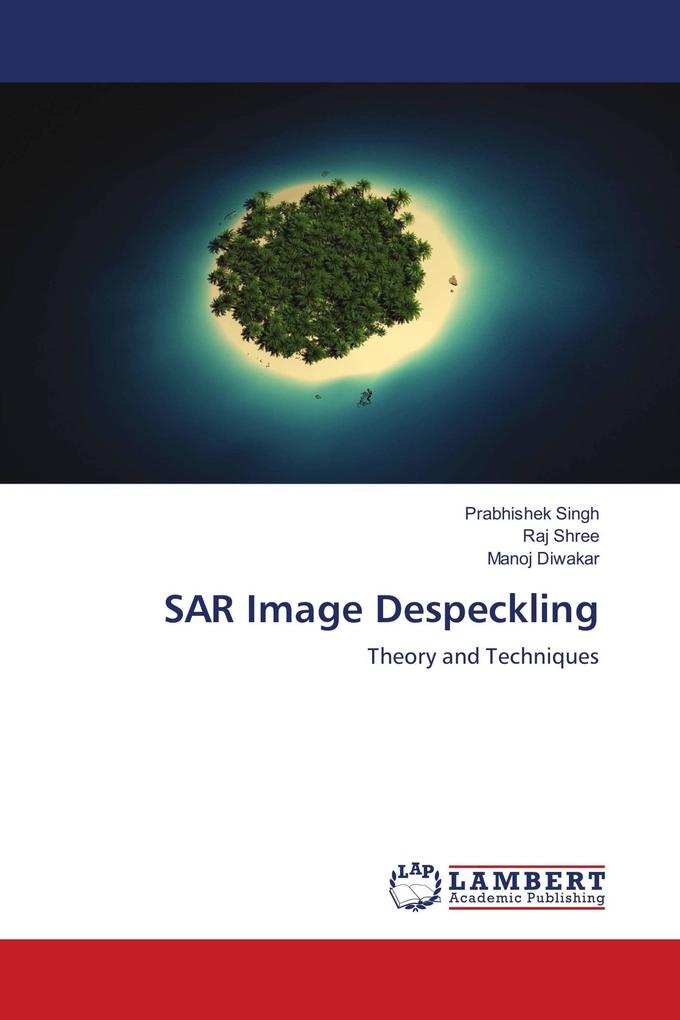 SAR Image Despeckling