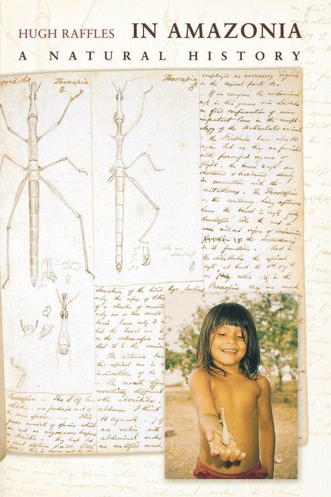 In Amazonia