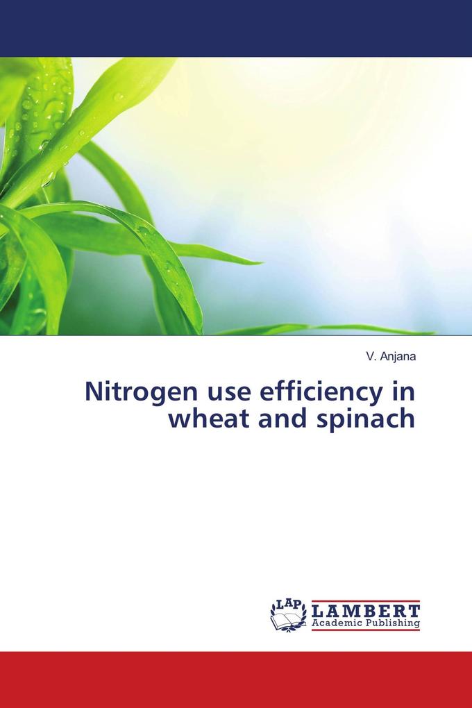 Nitrogen use efficiency in wheat and spinach
