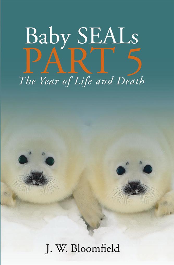 Baby Seals Part 5