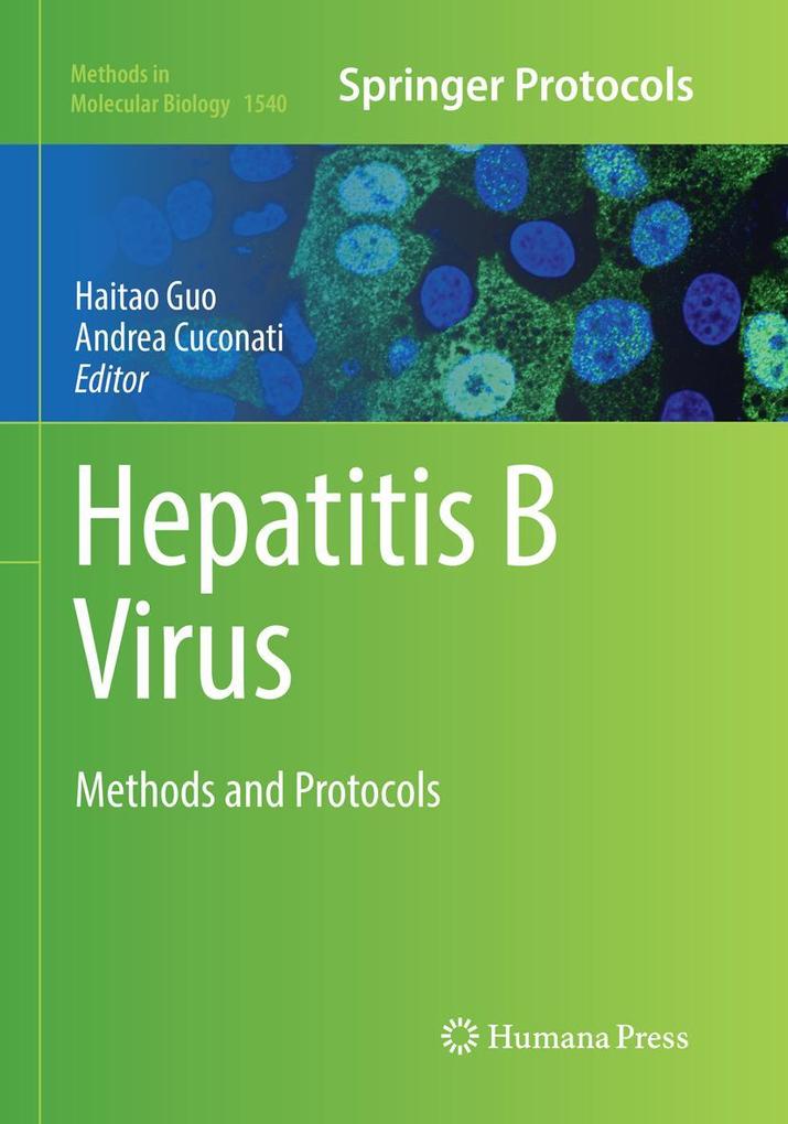 Hepatitis B Virus