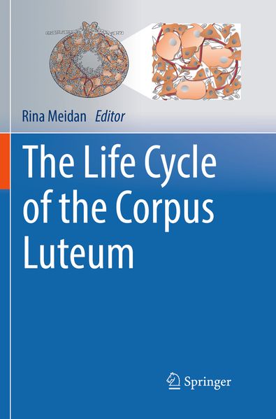 The Life Cycle of the Corpus Luteum