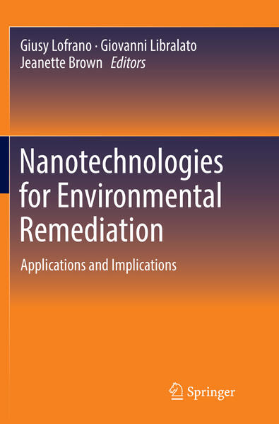 Nanotechnologies for Environmental Remediation