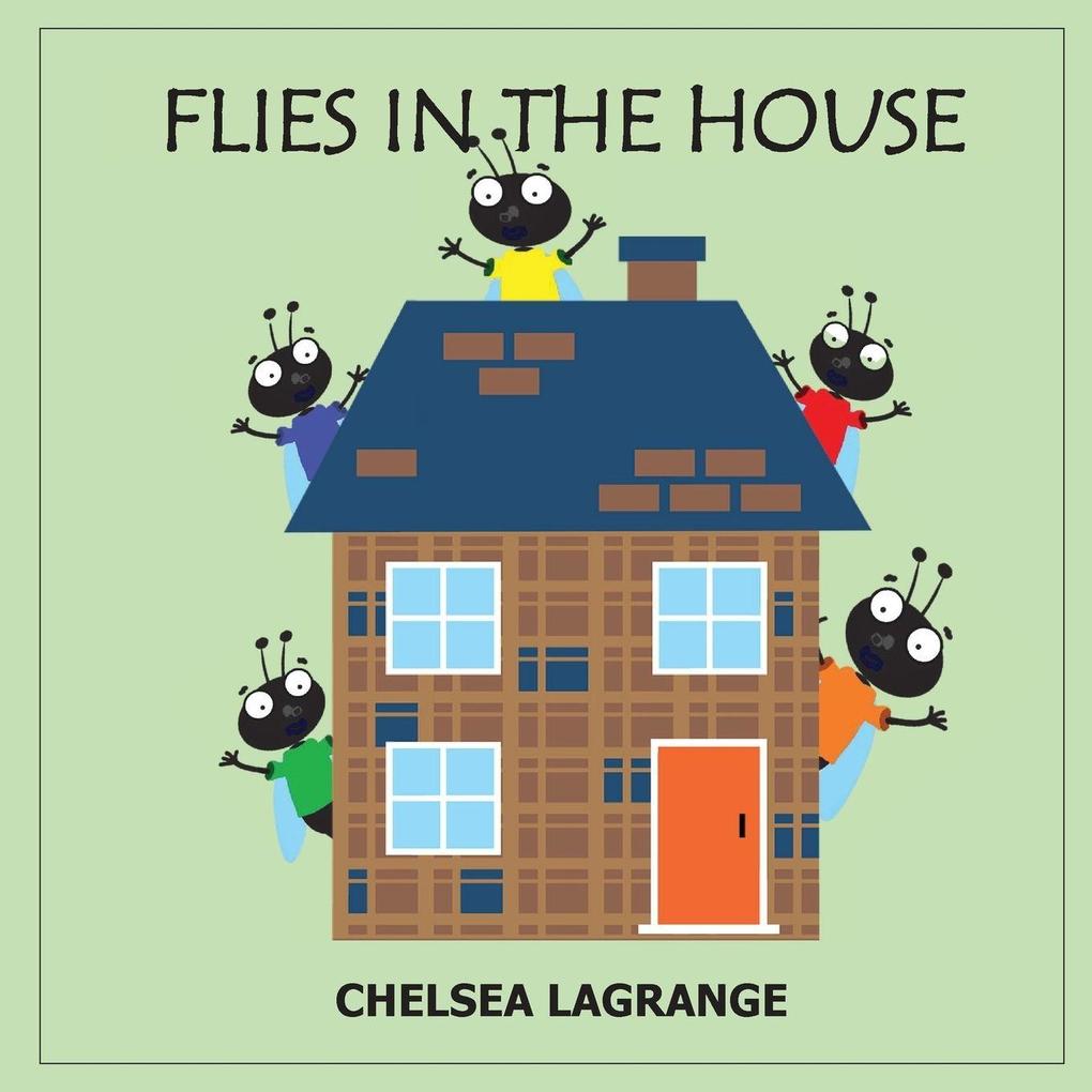Flies In The House