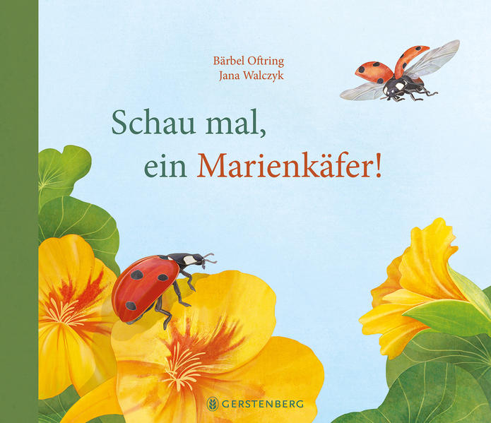 Image of Schau mal ein Marienkäfer!